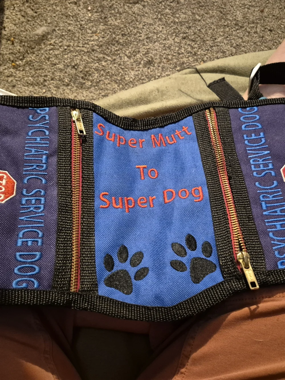 Psychiatric Service Dpg Vest
